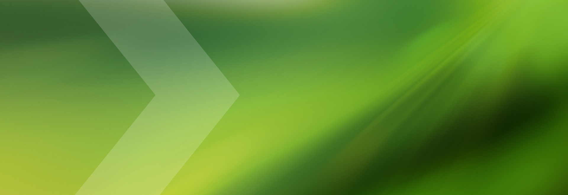 抽象的绿色背景，左侧带有虚化的人字形图案。