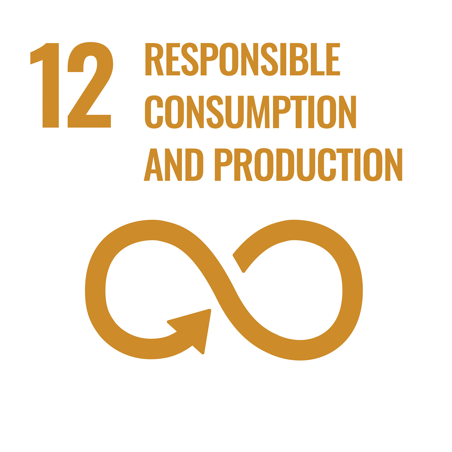 Ensure sustainable consumption and production patterns Responsible Consumption and Production